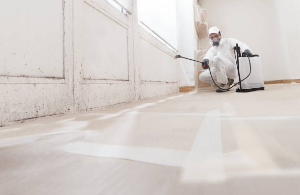 24/7 Emergency Attic Mold Remediation experts in Bridgewater, NJ