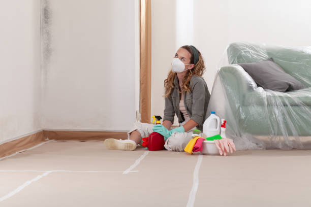 Reliable Attic Mold Remediation contractor in Bridgewater, NJ by Mold Remediation HQ